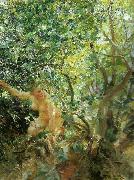Anders Zorn skramd china oil painting artist
